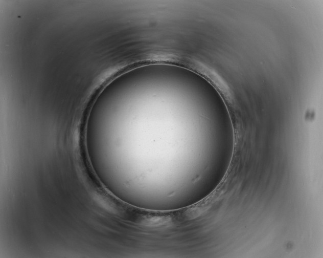 X0000102780155200808251124