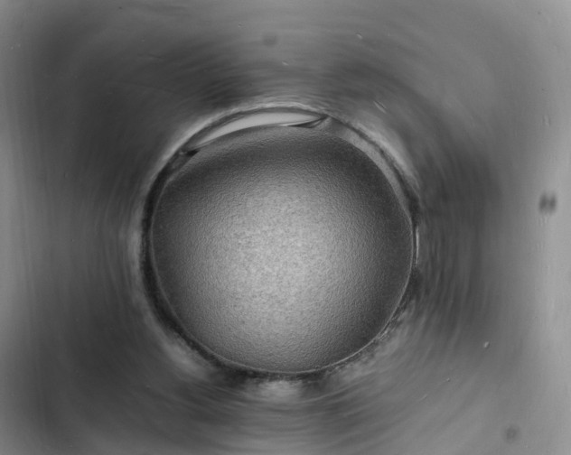 X0000102780156200808251124