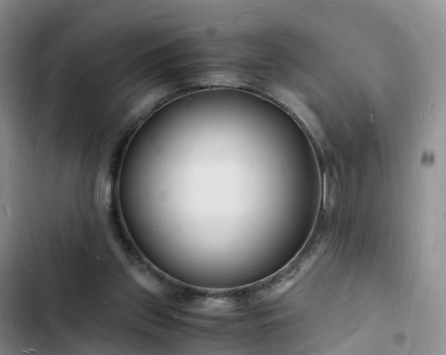 X0000102780157200808251124