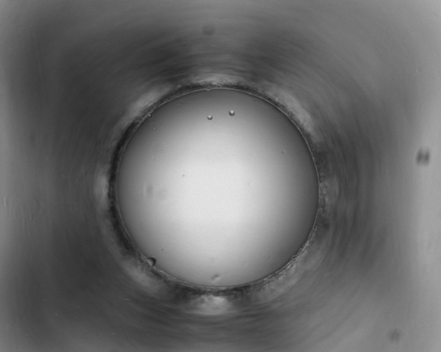 X0000102780159200808251124