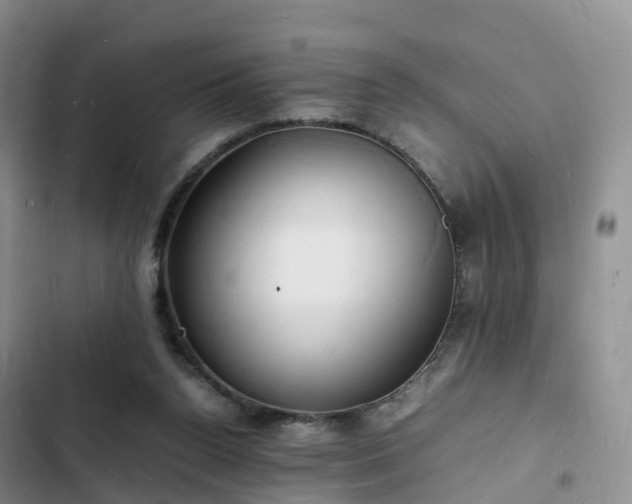 X0000102780160200808251124