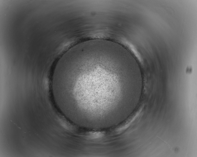 X0000102780161200808251124