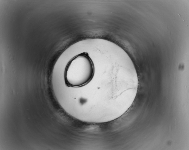 X0000102780162200808251124