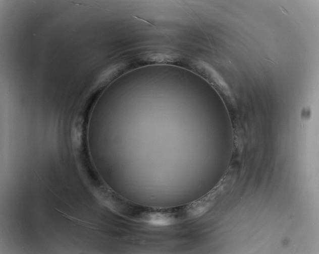 X0000102780163200808251124