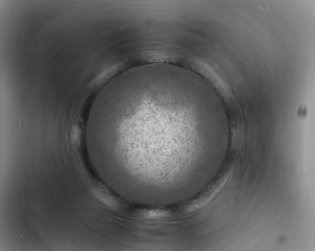 X0000102780165200808251124