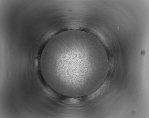 X0000102780166200808251124