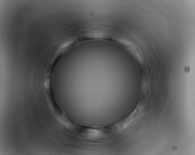 X0000102780167200808251124