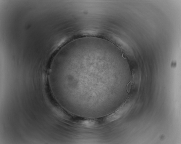 X0000102780168200808251124