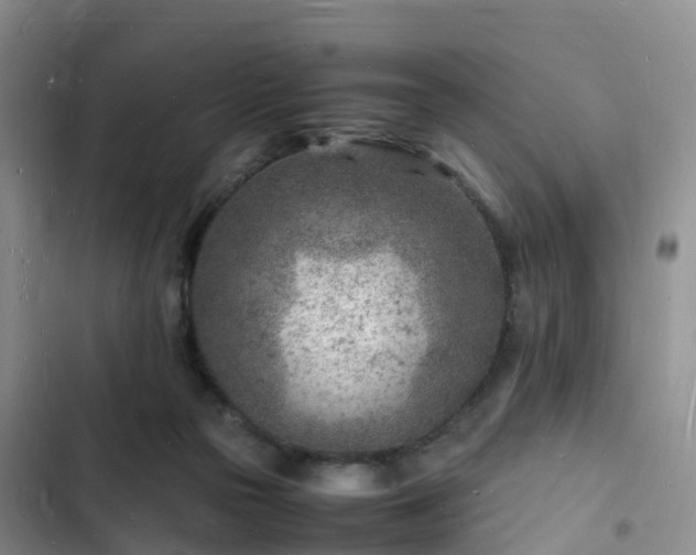 X0000102780169200808251124