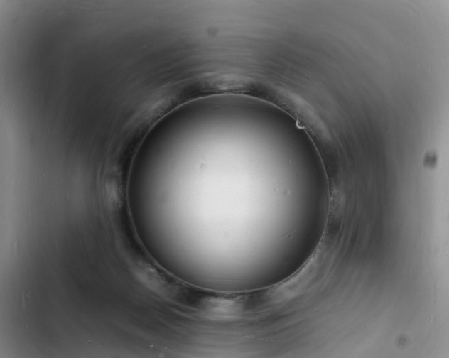 X0000102780170200808251124