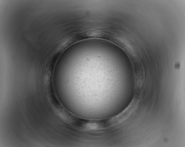 X0000102780171200808251124