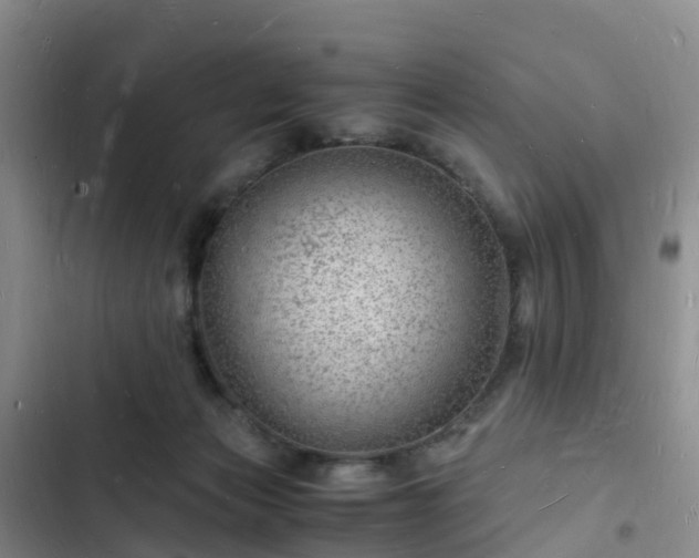 X0000102780173200808251124