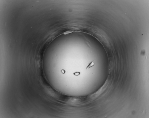 X0000102780174200808251124