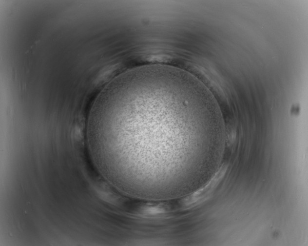 X0000102780175200808251124