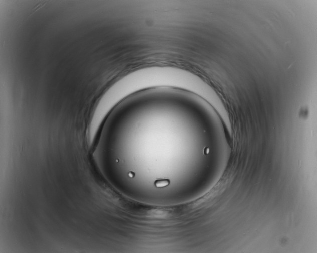 X0000102780176200808251124