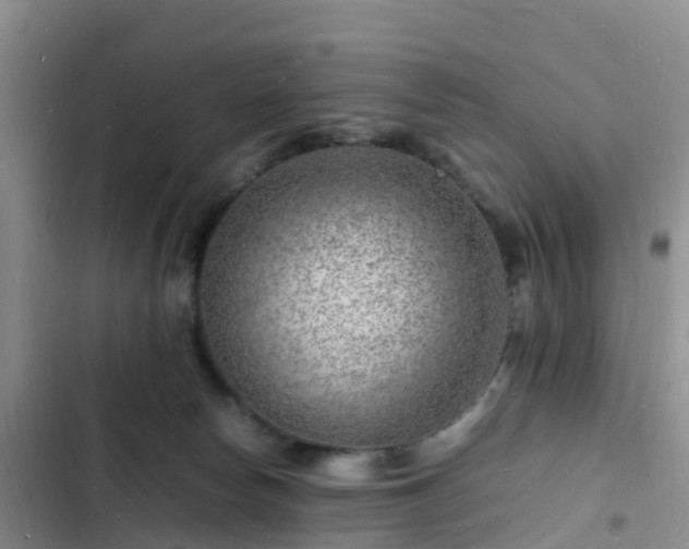 X0000102780178200808251124