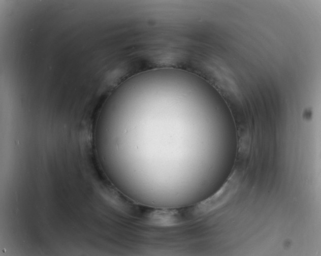 X0000102780179200808251124