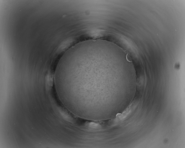 X0000102780180200808251124