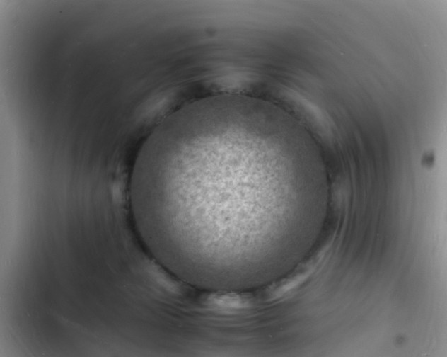 X0000102780181200808251124