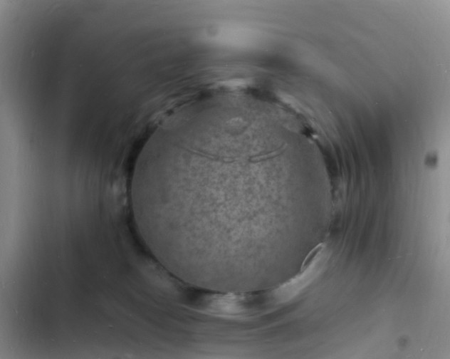 X0000102780182200808251124