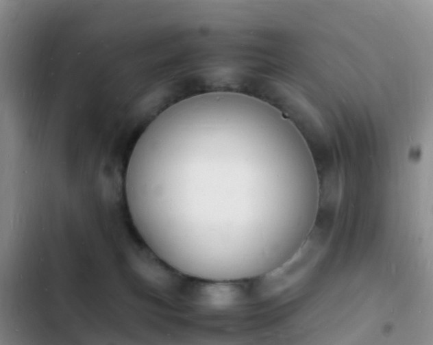 X0000102780183200808251124