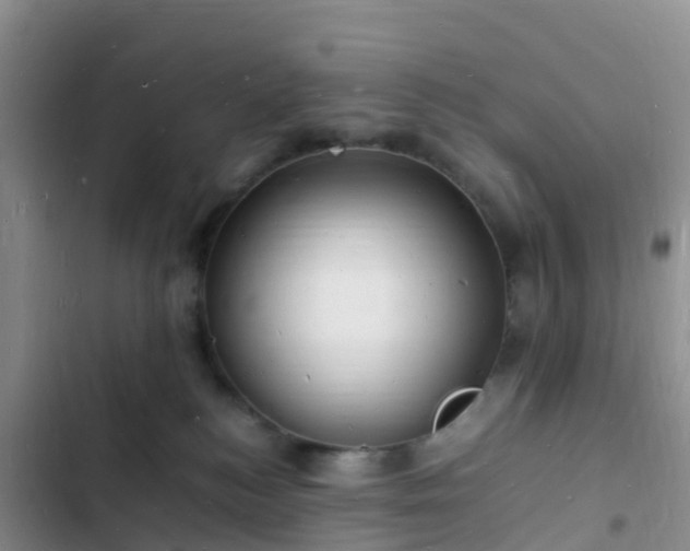 X0000102780184200808251124