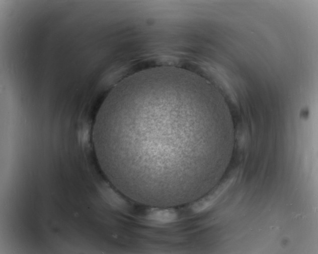 X0000102780185200808251124