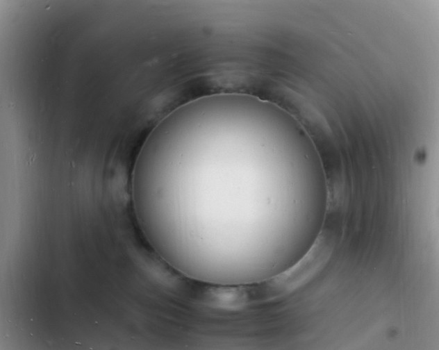 X0000102780187200808251124