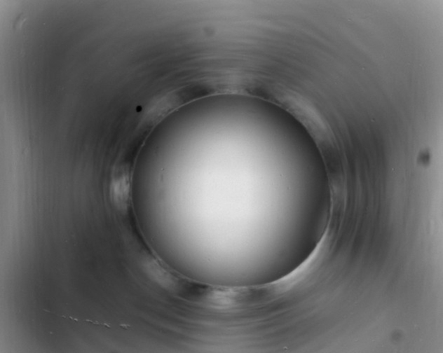 X0000102780190200808251124