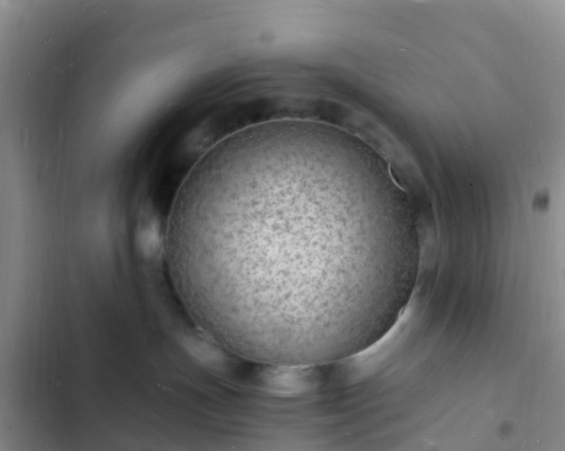 X0000102780191200808251124