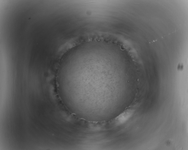 X0000102780192200808251124