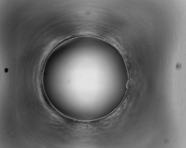 X0000102780193200808251124