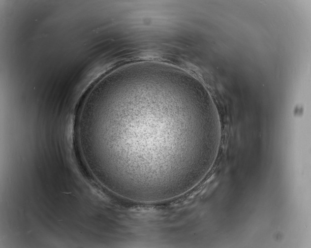 X0000102780194200808251124