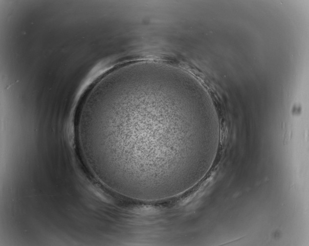 X0000102780198200808251124