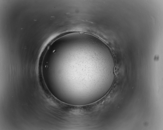 X0000102780200200808251124