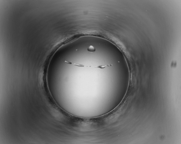 X0000102780201200808251124