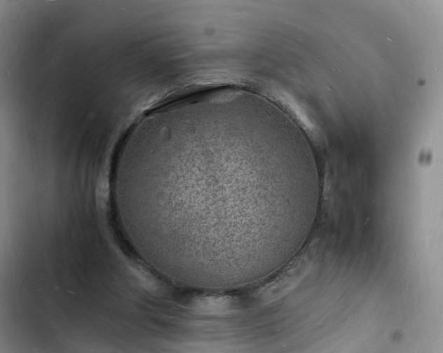 X0000102780202200808251124