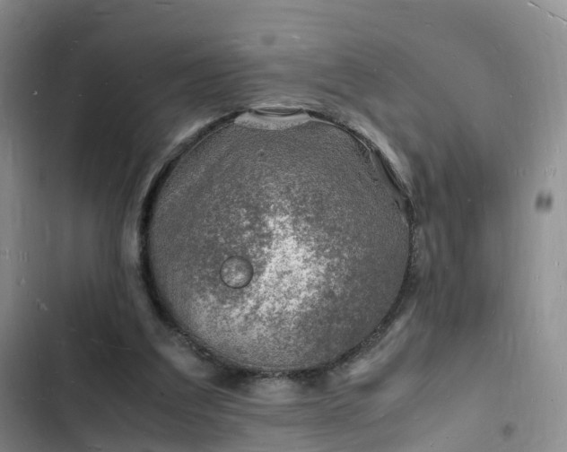 X0000102780203200808251124