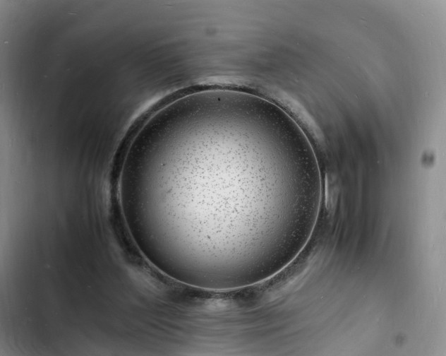 X0000102780204200808251123