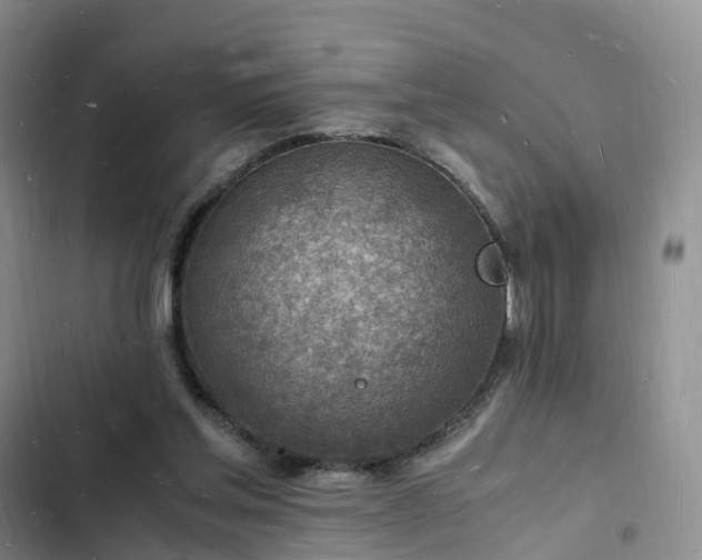 X0000102780205200808251123