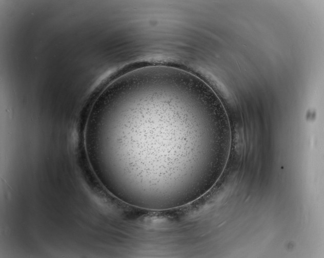 X0000102780208200808251123