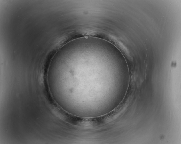 X0000102780209200808251123