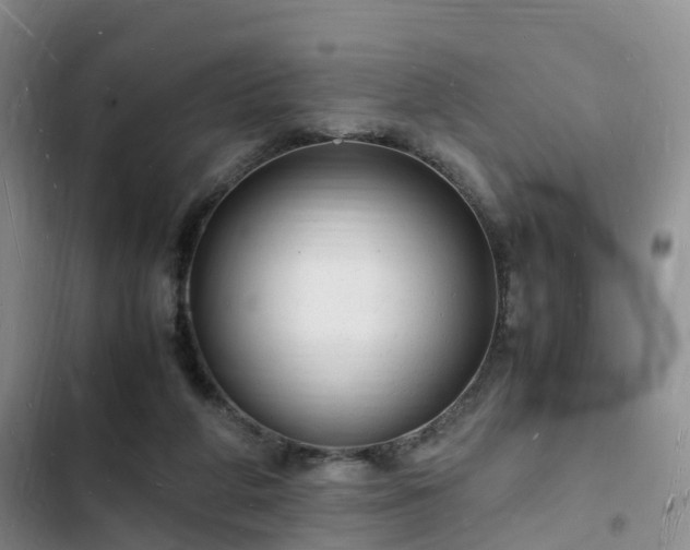 X0000102780210200808251123