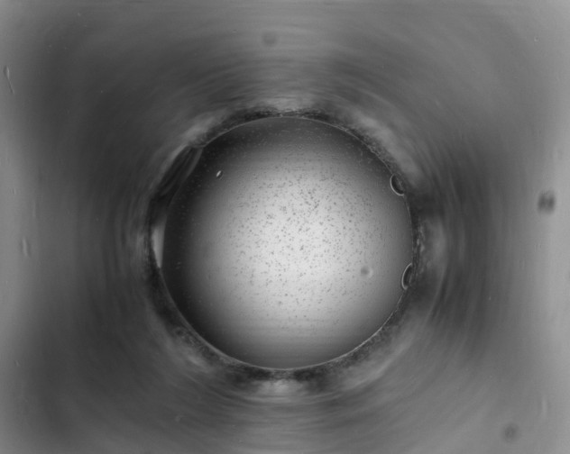 X0000102780212200808251123