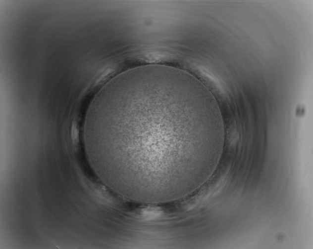 X0000102780214200808251123