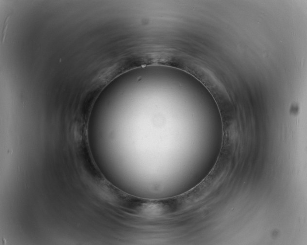 X0000102780218200808251123