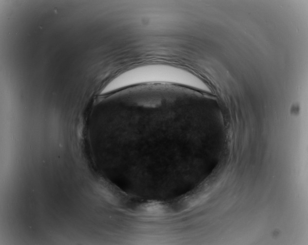 X0000102780219200808251123