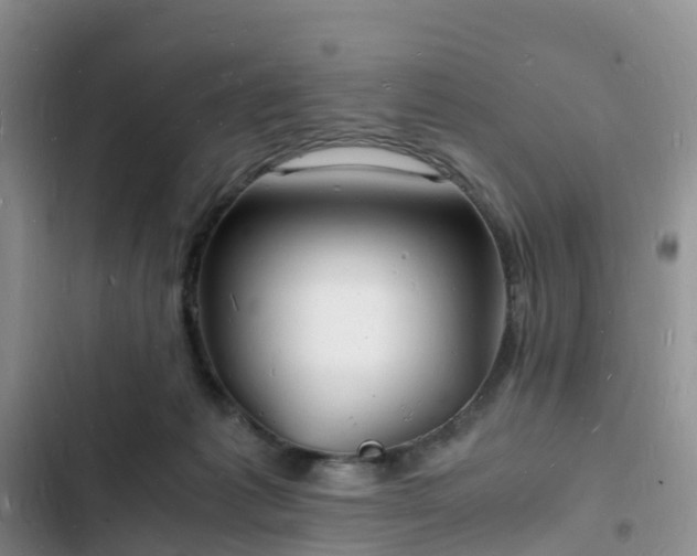 X0000102780221200808251123