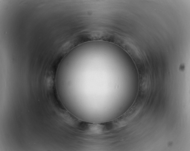 X0000102780226200808251123