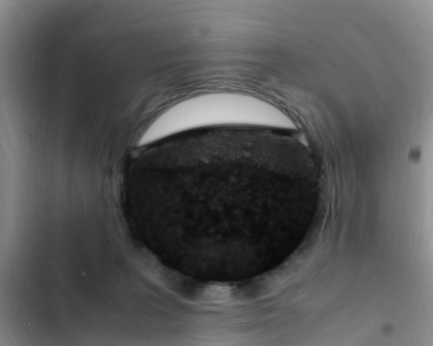 X0000102780227200808251123